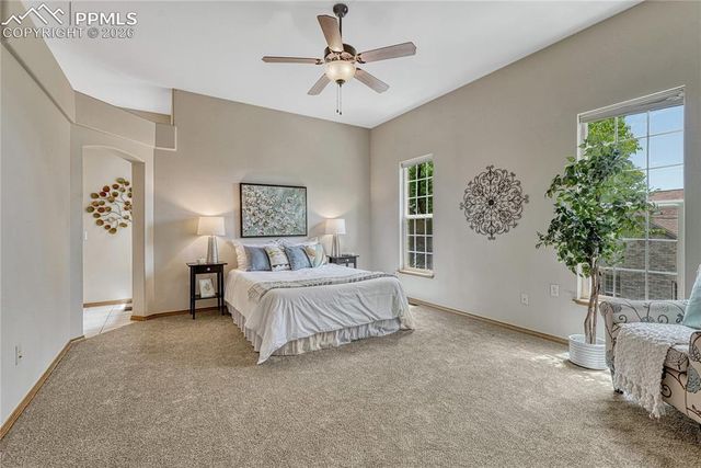 4601 Rowell Point, Colorado Springs, CO 80923