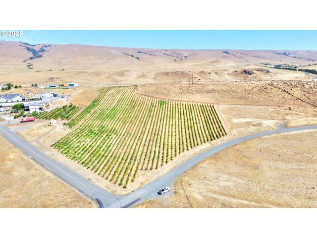 DALLES MT Rd, Dallesport, WA 98617