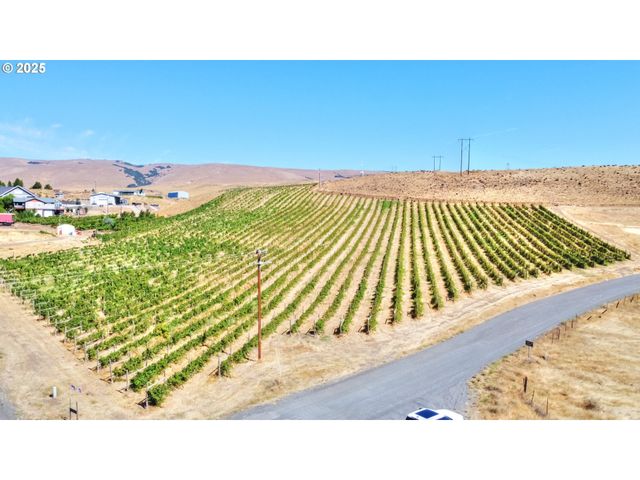 DALLES MT Rd, Dallesport, WA 98617