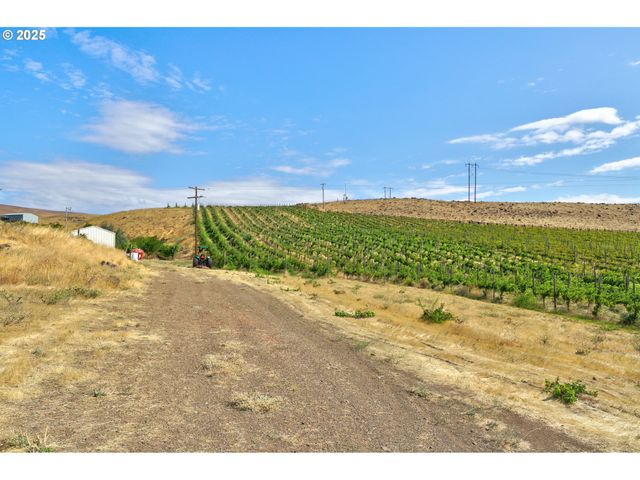 DALLES MT Rd, Dallesport, WA 98617