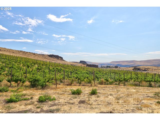 DALLES MT Rd, Dallesport, WA 98617
