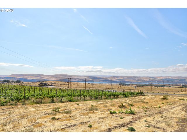 DALLES MT Rd, Dallesport, WA 98617