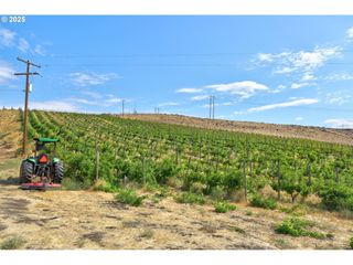 DALLES MT Rd, Dallesport, WA 98617