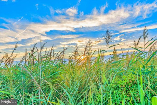 220 FOX ST, Milton, DE 19968