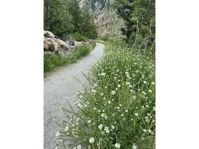 1901 Clear Creek Dr F-F304, Georgetown, CO 80444