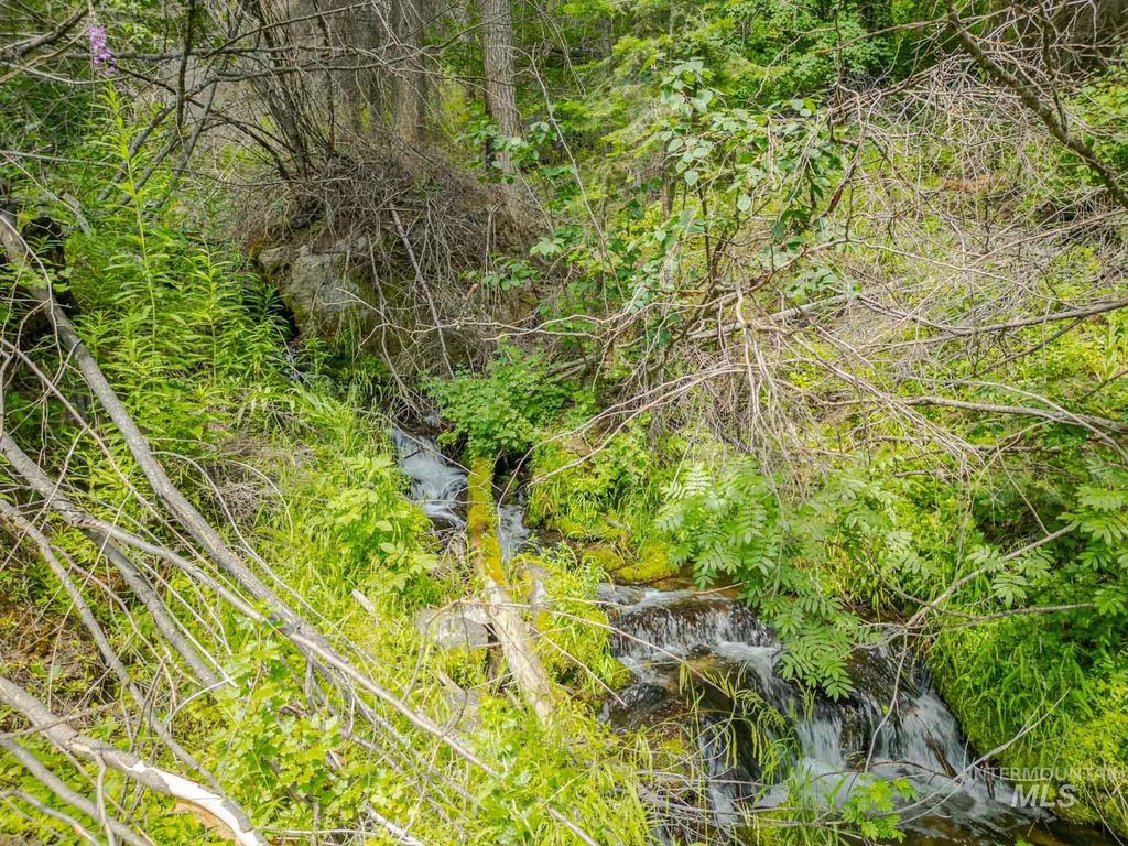 TBD West Mountain, Cascade, ID 83611 photo 27