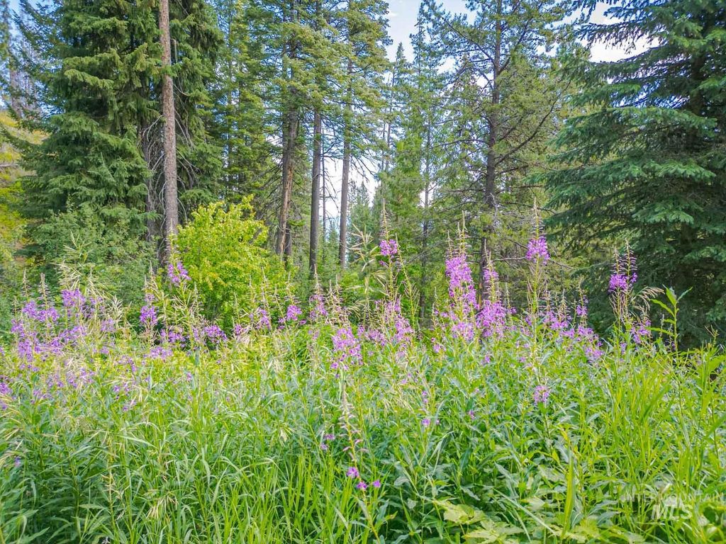 TBD West Mountain, Cascade, ID 83611 photo 28