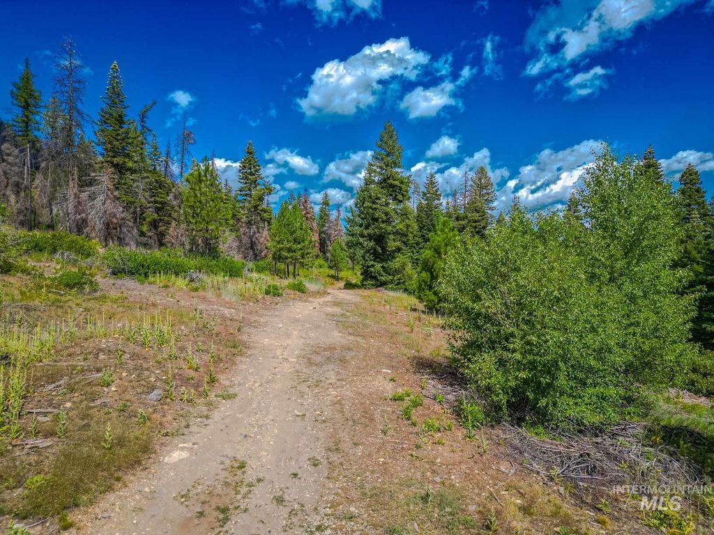 TBD West Mountain, Cascade, ID 83611 photo 29