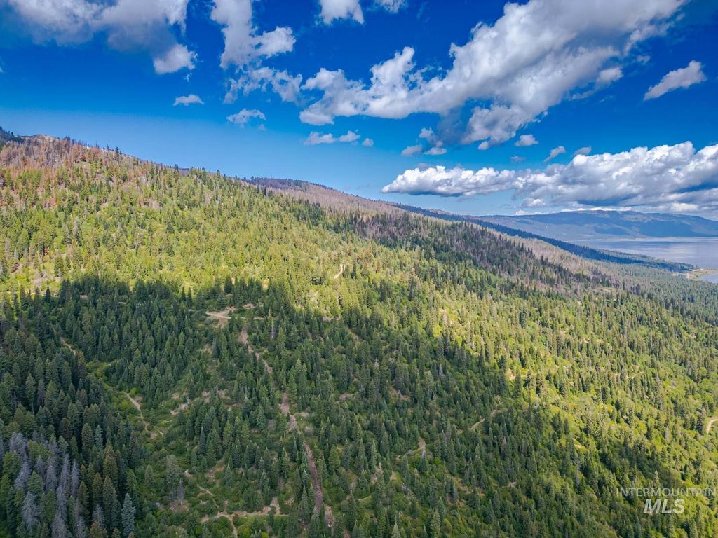 TBD West Mountain, Cascade, ID 83611 photo 8