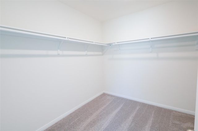 9426 Castillo Court, Magnolia, TX 77354