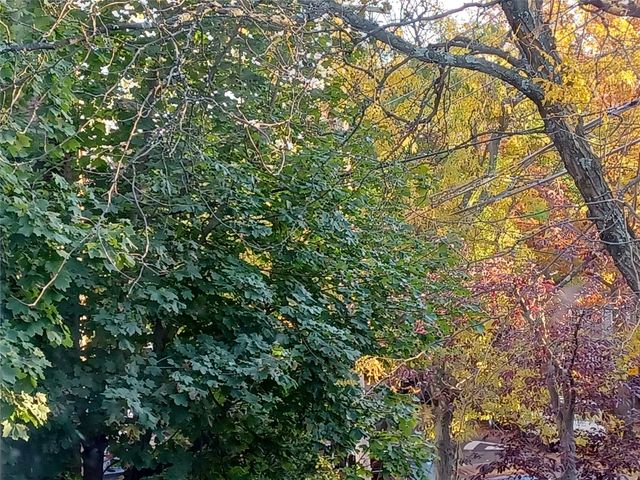 1774 Pitman Avenue, Bronx, NY 10466