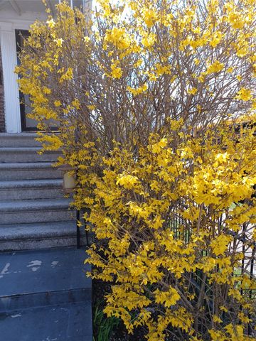 1774 Pitman Avenue, Bronx, NY 10466