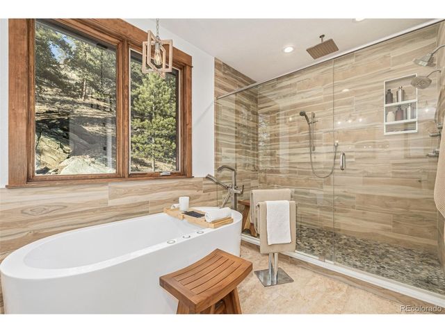 663 Brookside Dr, Bailey, CO 80421