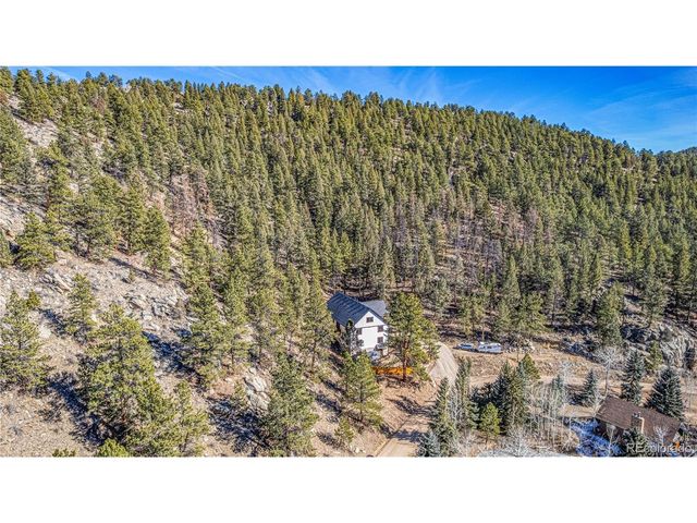 663 Brookside Dr, Bailey, CO 80421
