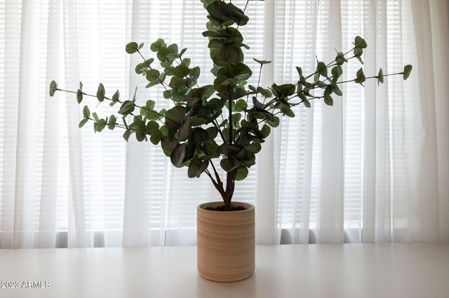 6325 E CAROLINA Drive, Scottsdale, AZ 85254