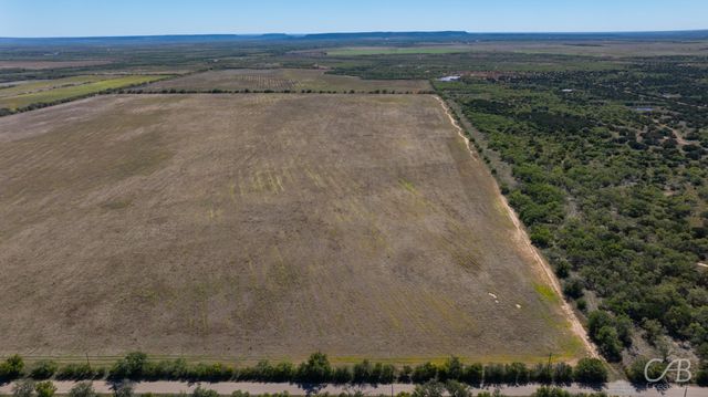 TBD Lot 4 CR 207, Ovalo, TX 79541