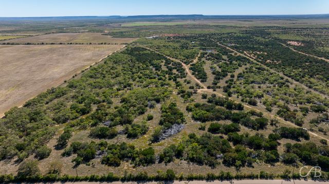 TBD Lot 4 CR 207, Ovalo, TX 79541