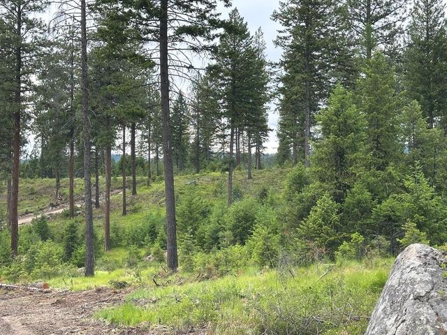 36XX Lot F Sheridan Rd, Republic, WA 99166 property photo