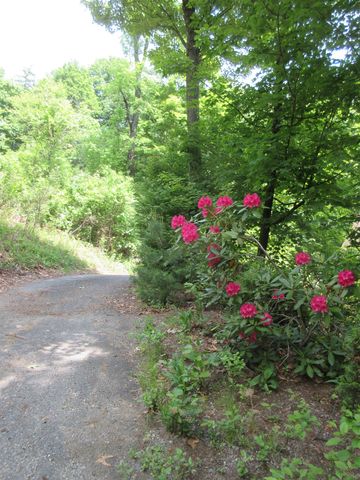 90 Wilsons Woods Road, Brattleboro, VT 05301