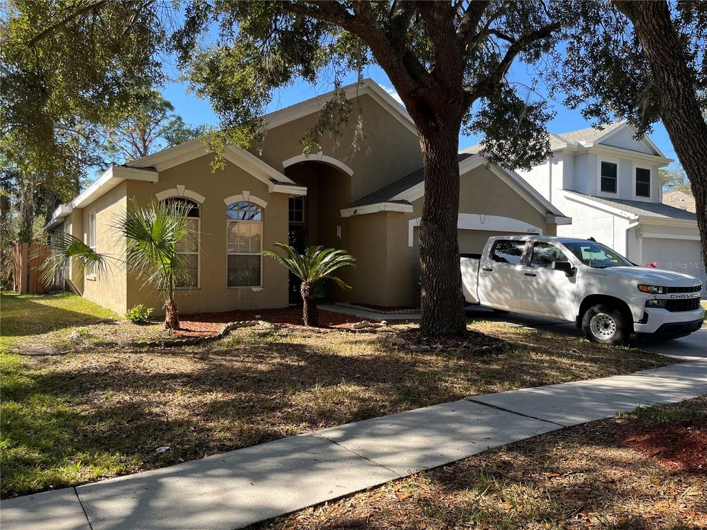 18124 ANTIETAM COURT, Tampa, FL 33647