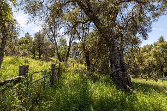 4716 Leonard Road, Mariposa, CA 95338
