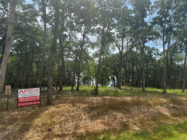 1216 Buck Trail, Pottsboro, TX 75076