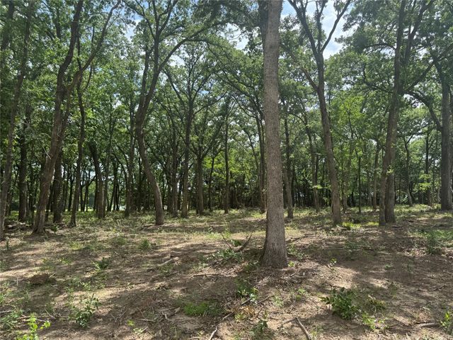 1216 Buck Trail, Pottsboro, TX 75076