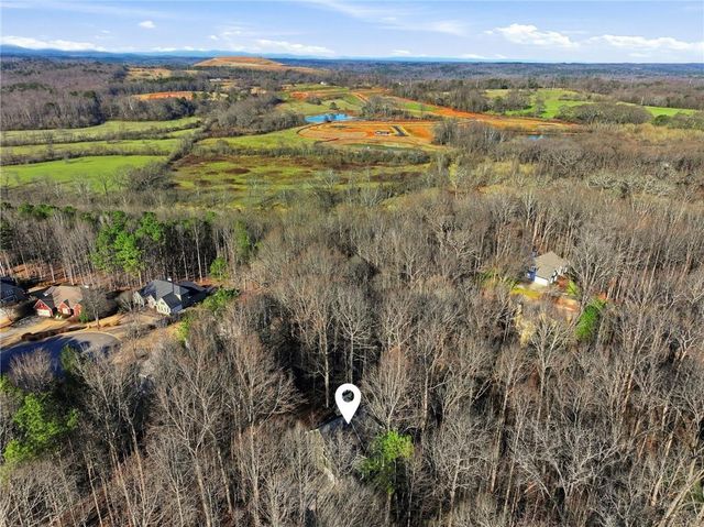 9240 Old Preserve Trail, Ball Ground, GA 30107