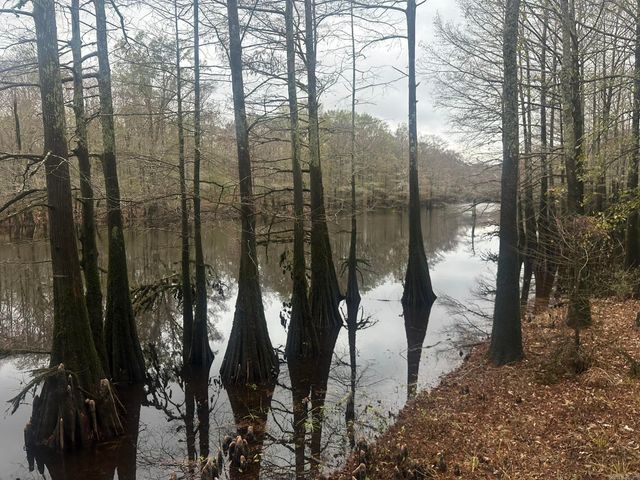 4878 Calhoun 245, Hampton, AR 71744