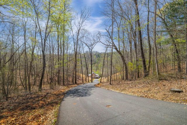 207 Arrow Way, Mineral Bluff, GA 30559