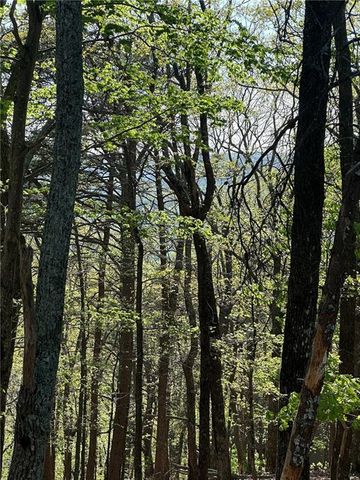 141 Wood Fern Knoll, Big Canoe, GA 30143