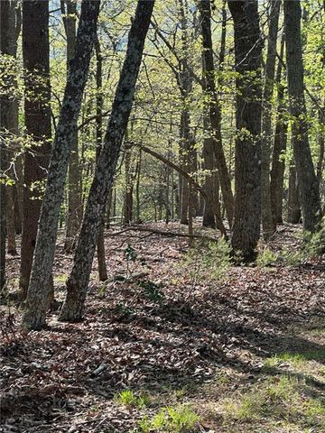 141 Wood Fern Knoll, Big Canoe, GA 30143
