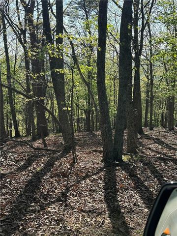141 Wood Fern Knoll, Big Canoe, GA 30143
