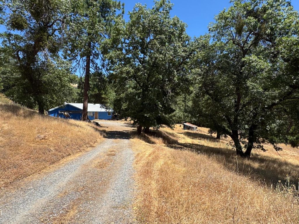 3553 Bald Mountain Rd, West Point, CA 95255