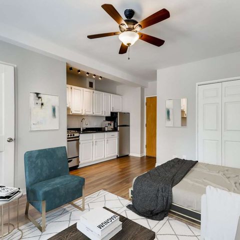 1140 N La Salle Drive 407, Chicago, IL 60610