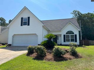 191 Elm Creek Drive, Chapin, SC 29036