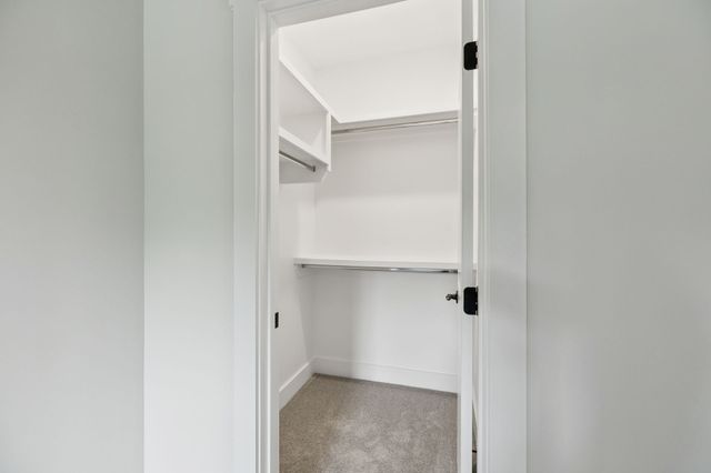 3001 Turnstone Trce, Spring Hill, TN 37174