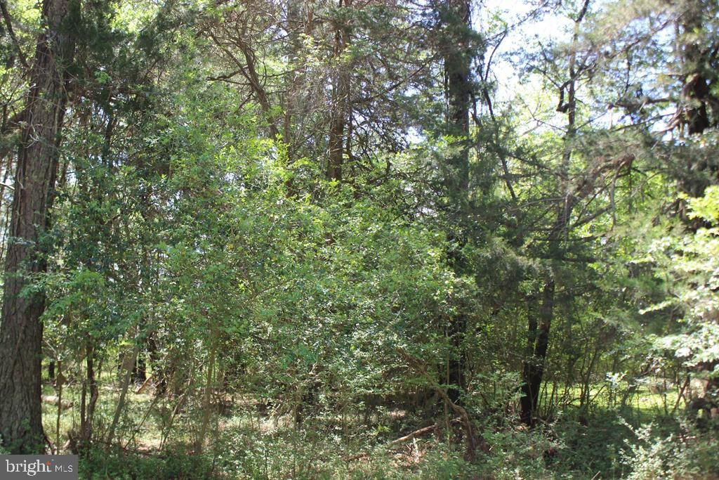 1093 AMIDSHIP DR, Greenbackville, VA 23356