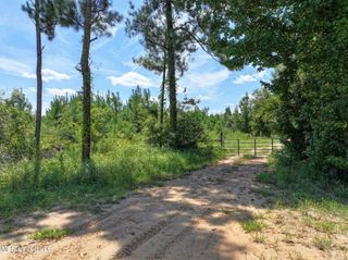 3.0+/- Highway 11, Petal, MS 39465