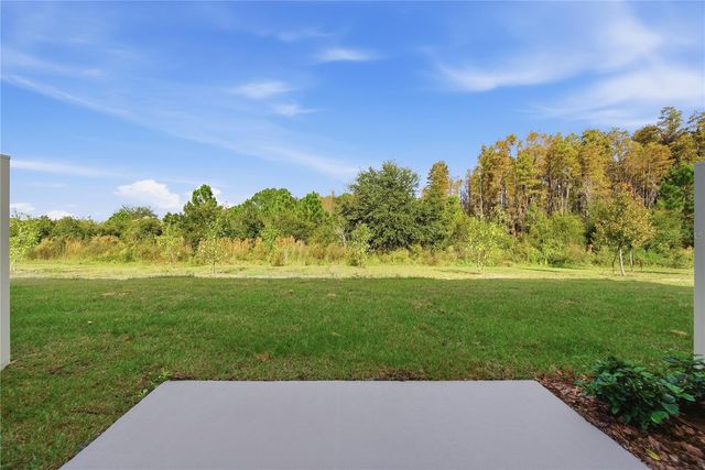 32497 MIDSUMMER NIGHT LANE, Wesley Chapel, FL 33543