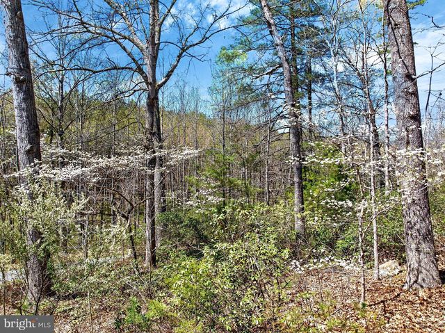 12415 SCOTTS MILL RD, Culpeper, VA 22701