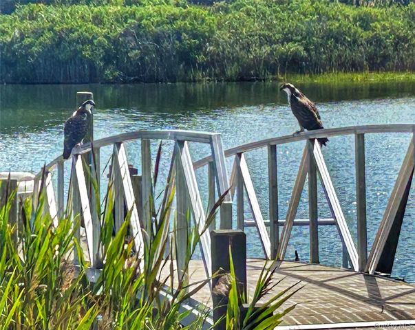 2245 Little Peconic Bay Lane, Southold, NY 11971