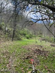 Tbd Crabtree Hollow, Clintwood, VA 24228
