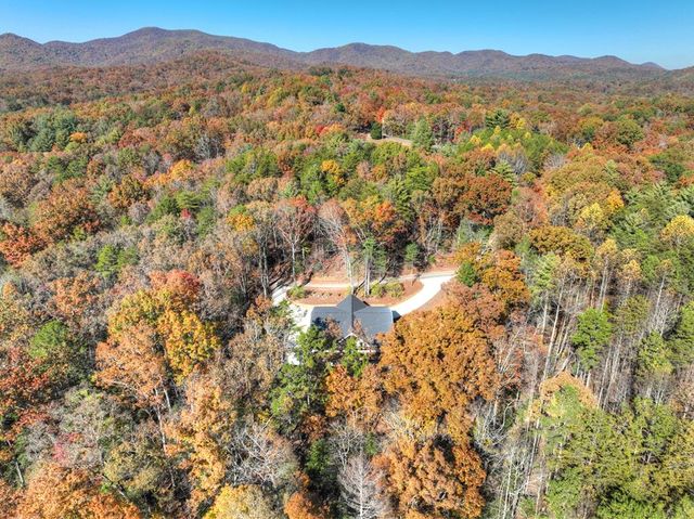 289 Scott Hollow Road, Ellijay, GA 30540