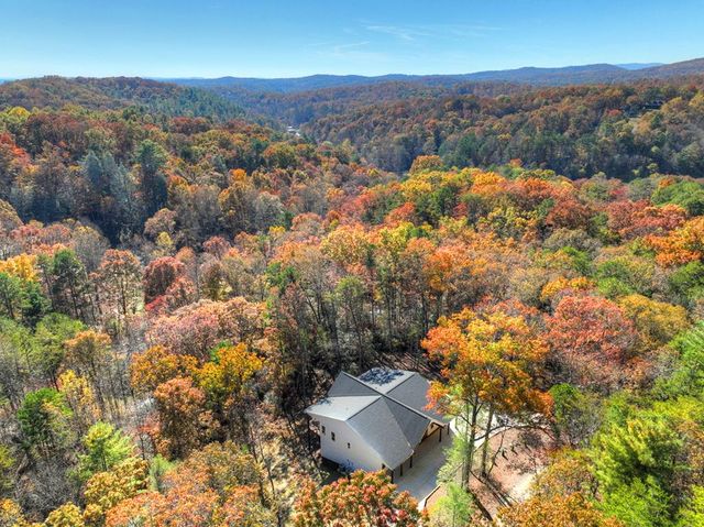 289 Scott Hollow Road, Ellijay, GA 30540