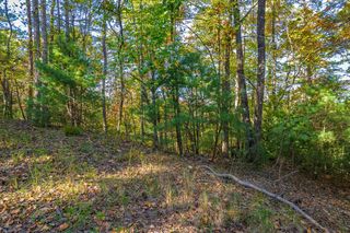 LT 1199 Lancer Court, Ellijay, GA 30540