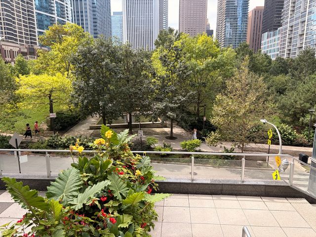 155 N Harbor Drive N 1411, Chicago, IL 60601