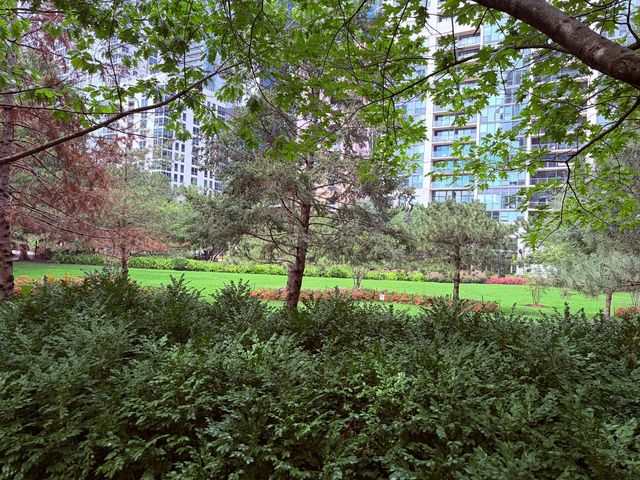 155 N Harbor Drive N 1411, Chicago, IL 60601