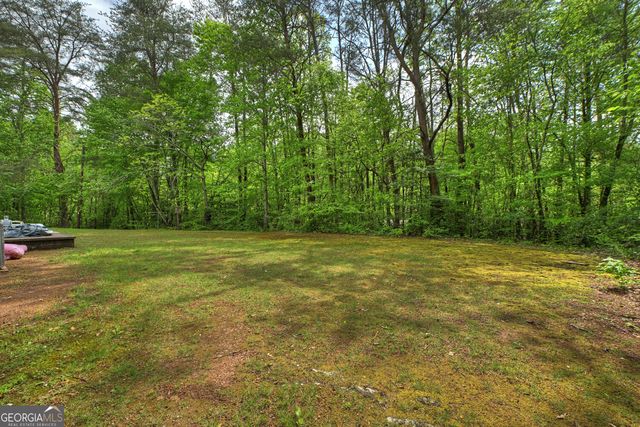 388 Jones Street 18-25, Blue Ridge, GA 30513