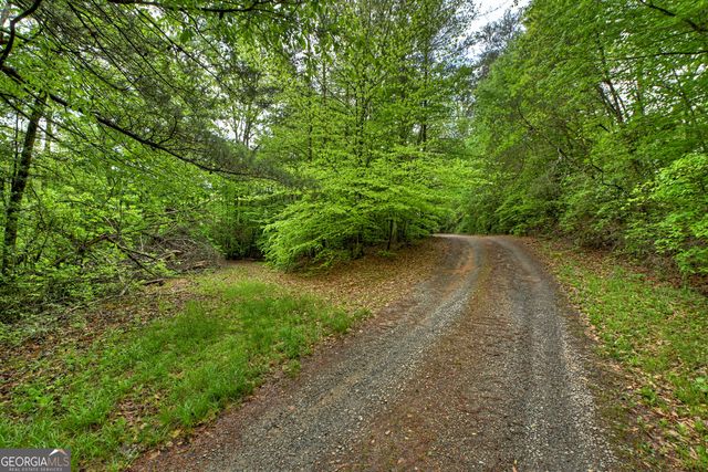 388 Jones Street 18-25, Blue Ridge, GA 30513